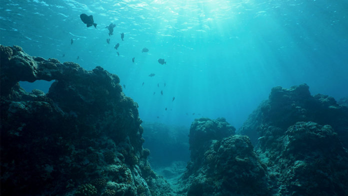 ocean floor underwater seascape future of energy