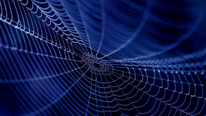 spider web silk in the dark biotechnology