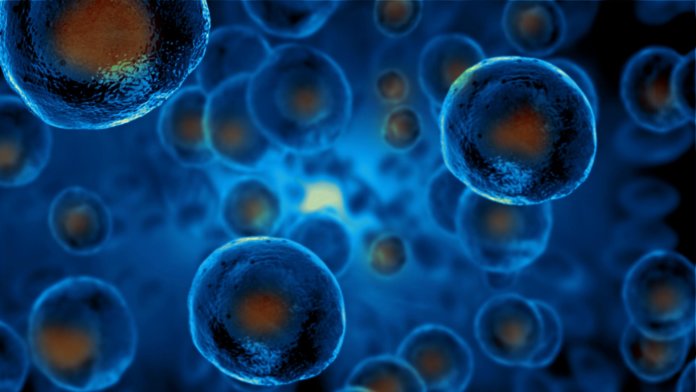 cells regeneration embryonic stem cells Peter Diamandis