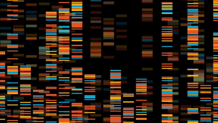 big genomic data visualization biotechnology SU faculty