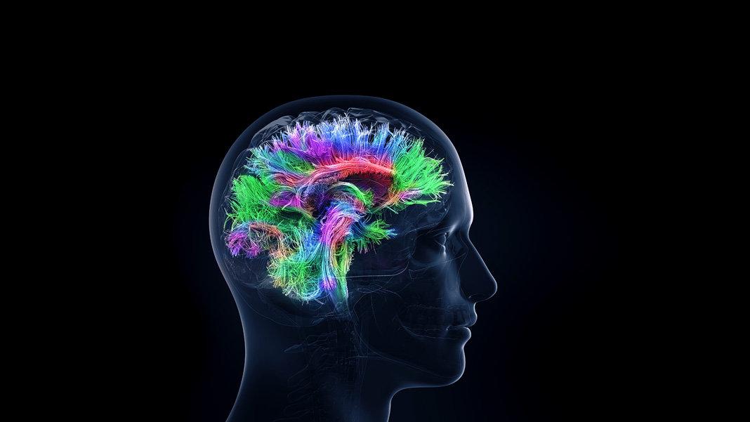 3D brain activity International Brain Initiative