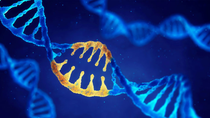 double helix dna modified genes crispr crisproff
