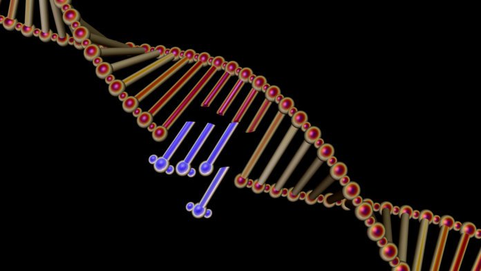 gene manipulation genetic engineering illustration CRISPR