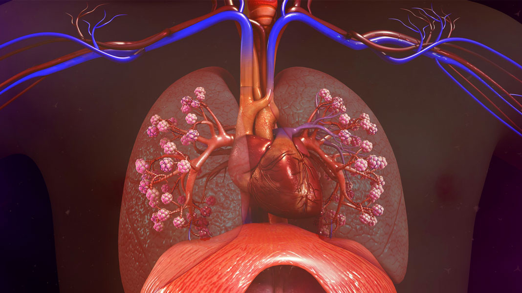 human-lungs-heart-future-of-health-shutterstock-399663493 - Singularity Hub