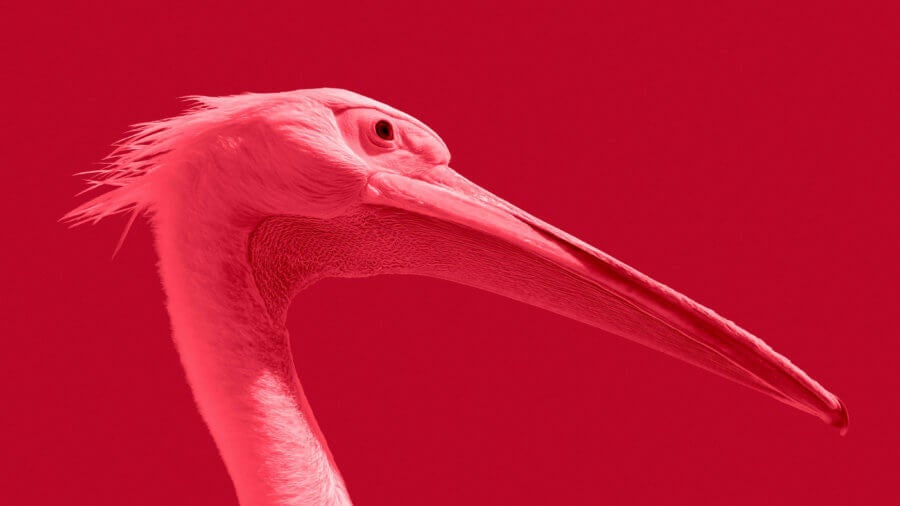 This Week's Awesome Stories From Around the Web (Through May 4)