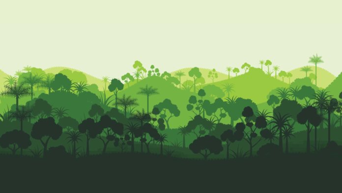 Green silhouette forest abstract background environment