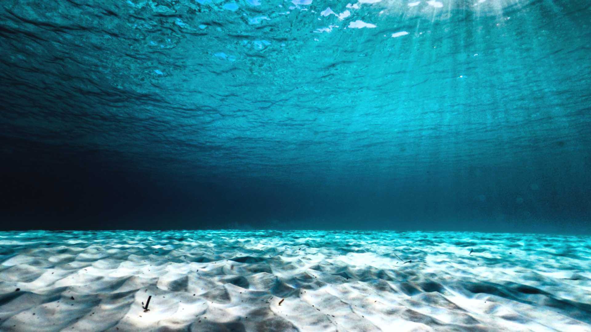 clear-concept-underwater-ocean-floor-perspectives ...