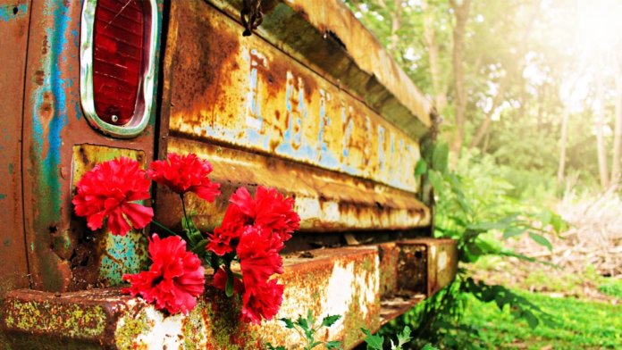 future vintage brown vehicle with red petaled flowers
