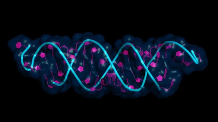 gene therapy universal switch genetics DNA