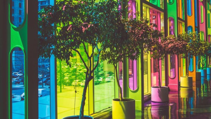 tech stories multicolored windows and trees