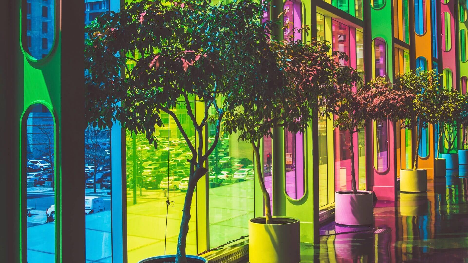 multicolored-windows-and-trees-felix-dub