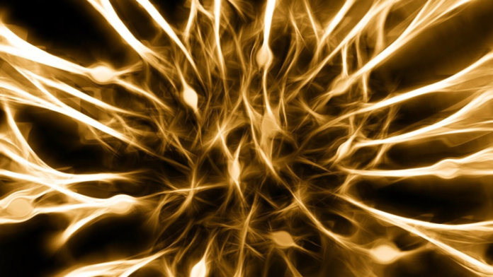 neuroscience gold brain nerves cells