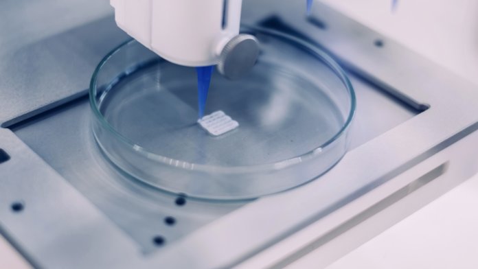 bioprinting body parts regulations bioprinter blue white petri dish