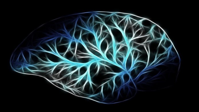 brain neurons neuromodulation AI neuroscience