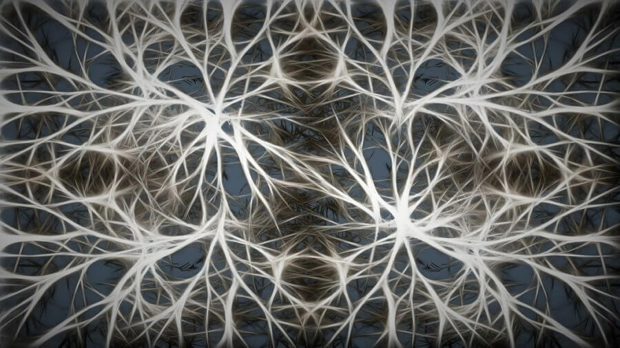 neurons artificial biological link neuroscience