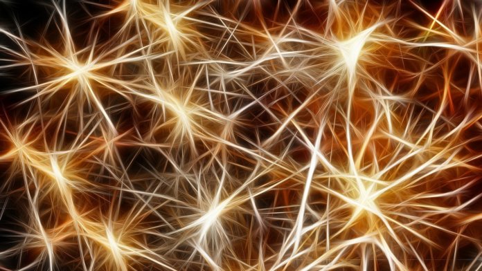 electrically conductive neurons