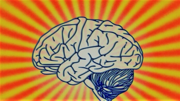 brain AI neuroscience consciousness
