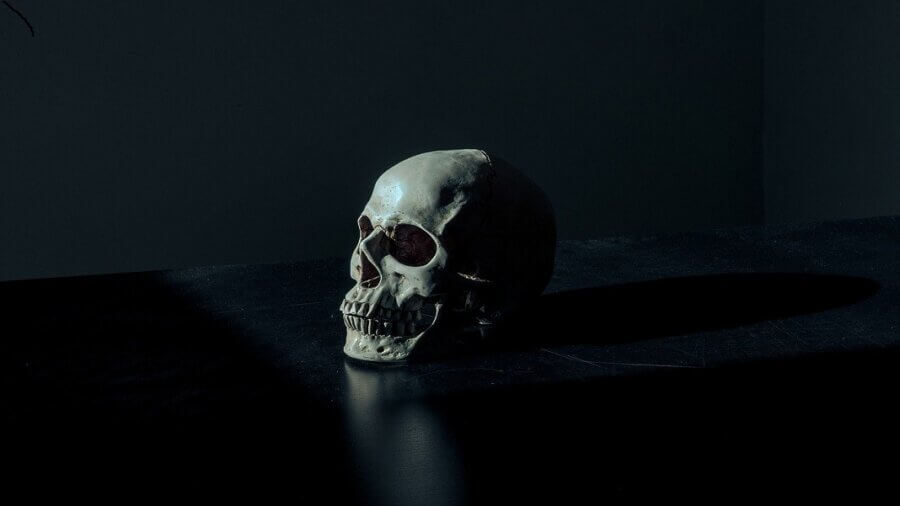 skull on black background human extinction bones