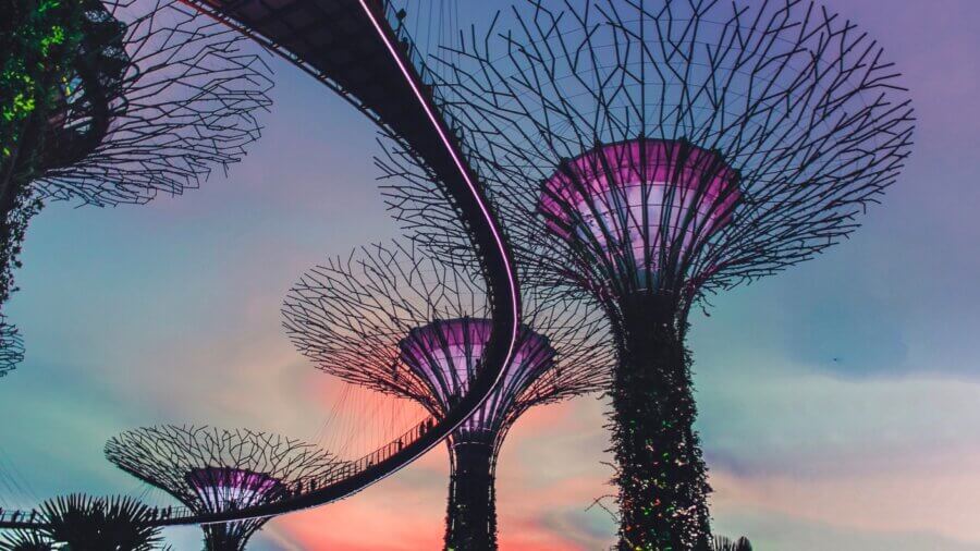tech stories singapore gardens technology sunset