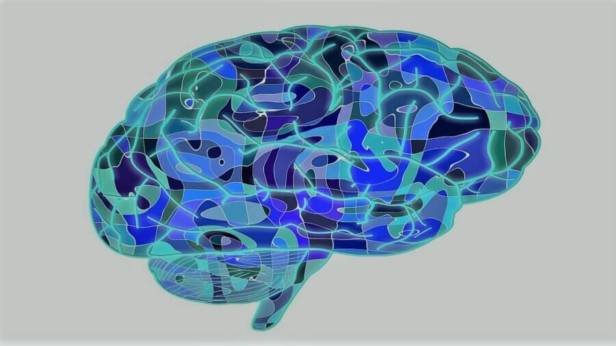 brain research neuroscience Neureka