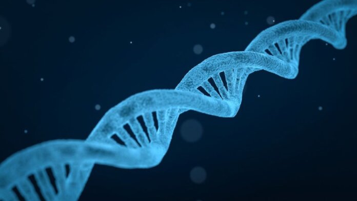 blue DNA double helix longevity genomics