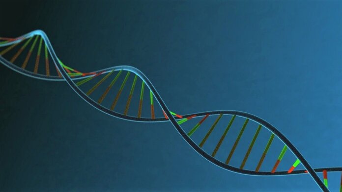 DNA human genome project