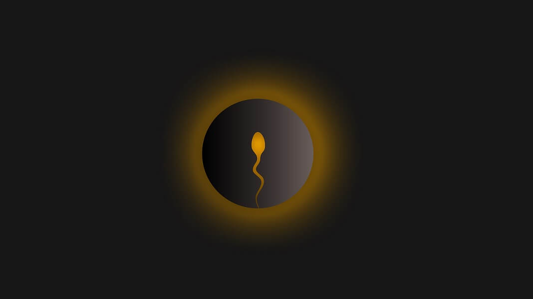germline editing CRISPR embryo sperm egg
