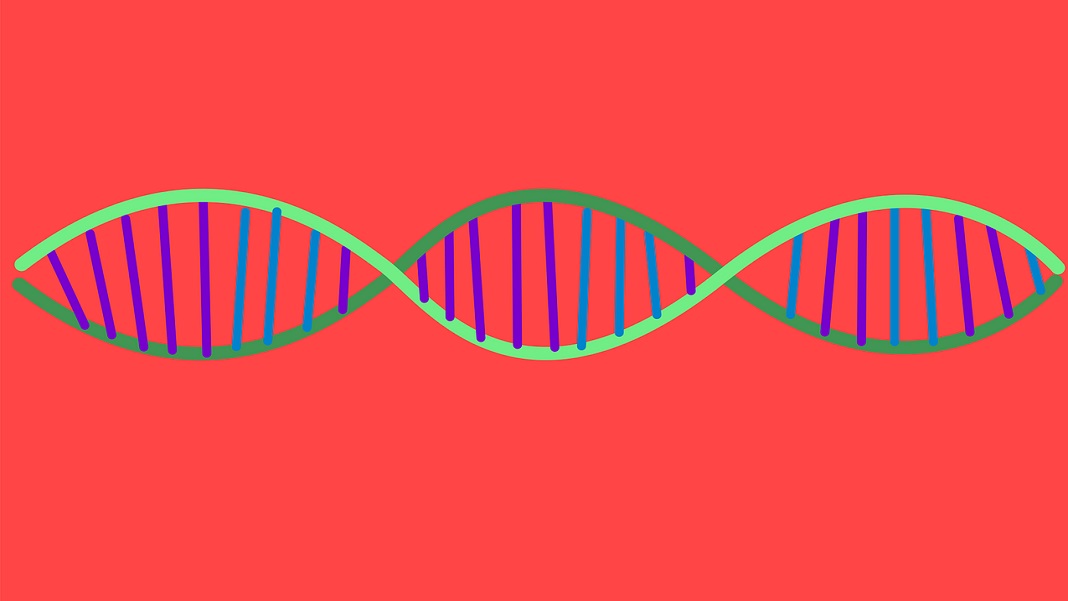DNA data storage double helix CRISPR