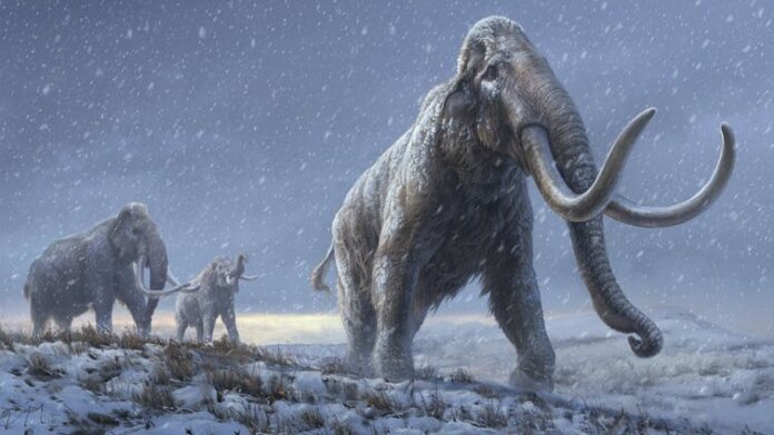 oldest ever dna steppe-mammoth