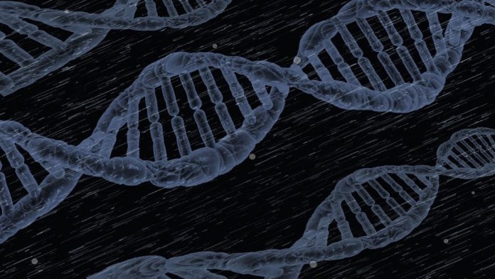 gene therapy genetics health