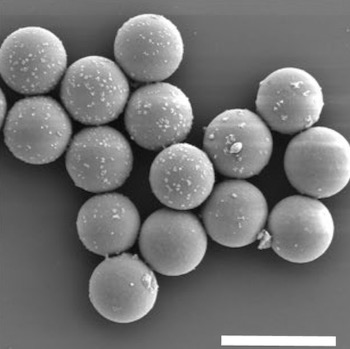 MIT DNA data storage image microscopic glass beads