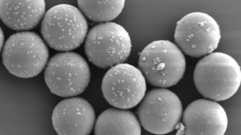 MIT DNA data storage image microscopic glass beads