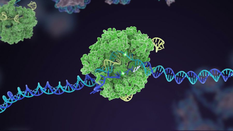 gene therapy intellias crispr cas9 genome editing dna