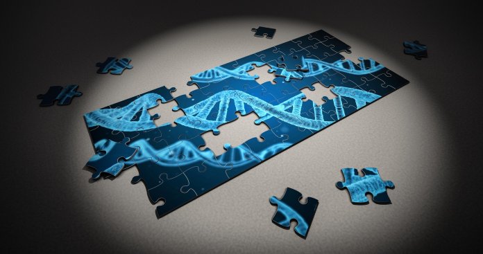 dna genome sequence puzzle