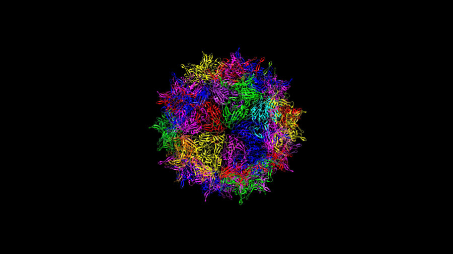 gene therapy AAV adeno associated viral vector multicolored ribbon diagram