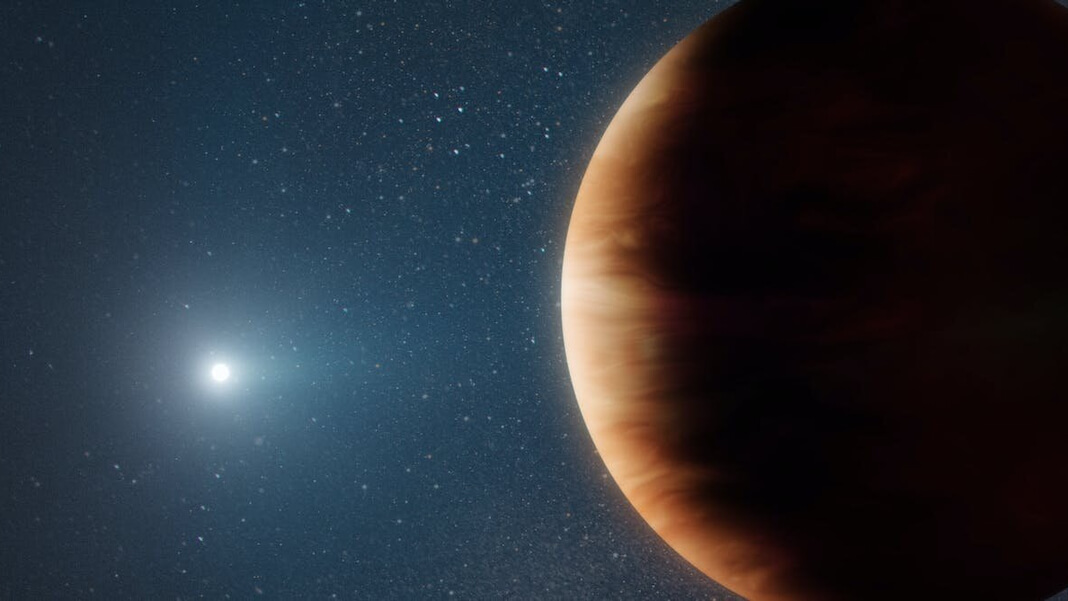 jupiter-like exoplanet survives death of star white dwarf