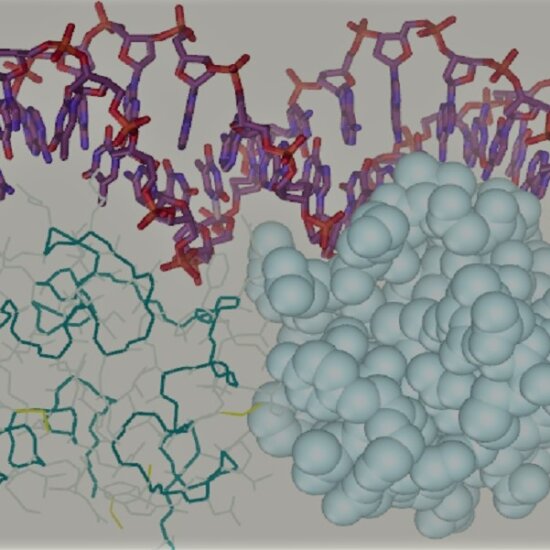 Origami Protein Complexes Deep Learning AI - Singularity Hub