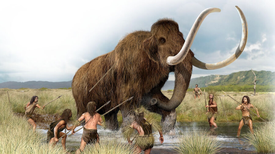 human civilization ancient humans hunting woolly mammoth