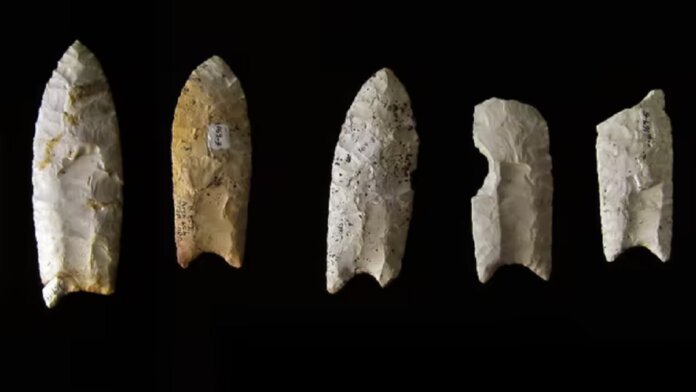 spearheads stones prehistoric humans