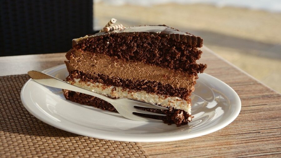 cake caloric restriction longevity healthspan