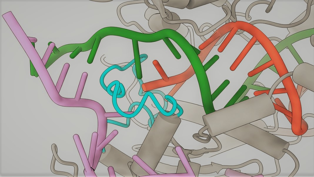 CRISPR Superfi Cas9 gene editing DNA