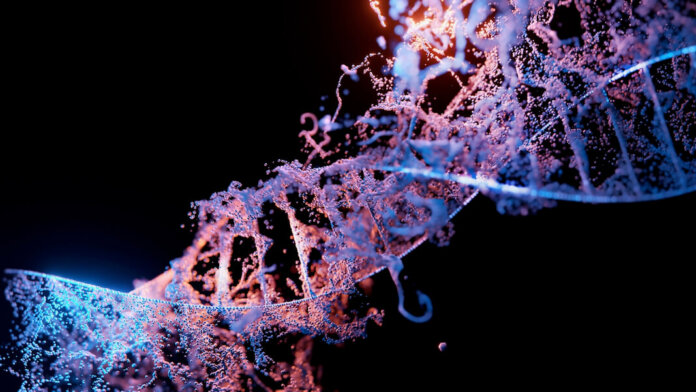 dna genes biology crispr immune system