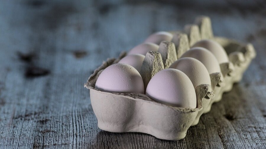chicken-free egg white carton of eggs