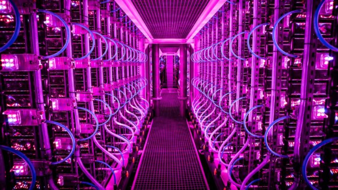 vaxa technologies vertical farm