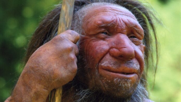 human origins science Homo sapiens neanderthalensis