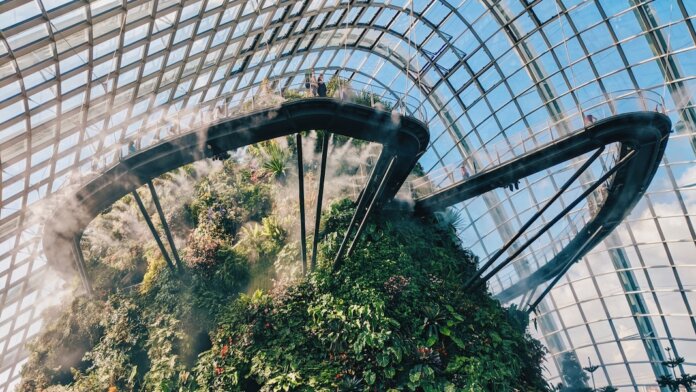 tech stories cloud forest dome green plants people architecture