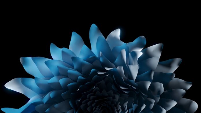 tech stories blue flower petals black background