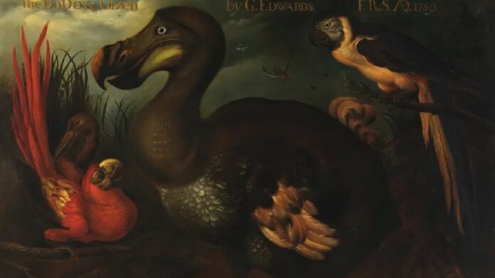 dodo bird de-extinction Colossal Biosciences