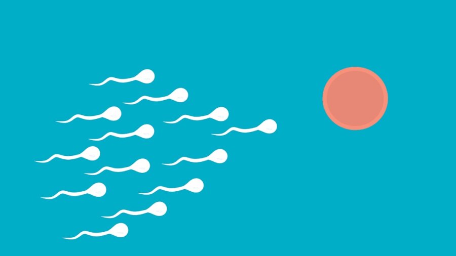 male birth control sperm egg sAC inhibitor
