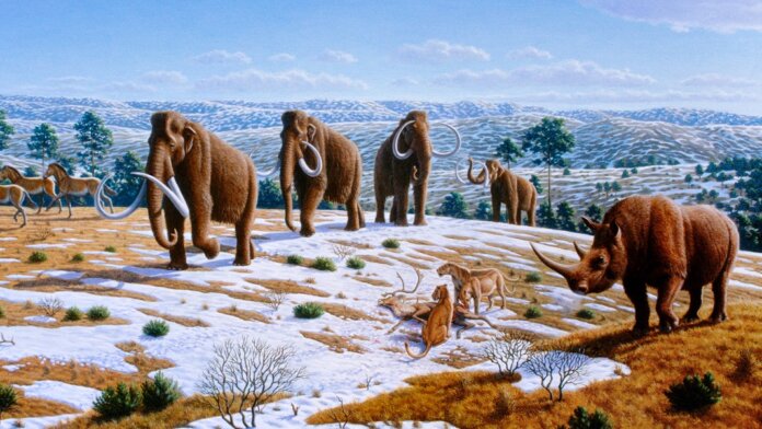 ice age woolly mammoth paleolithic era